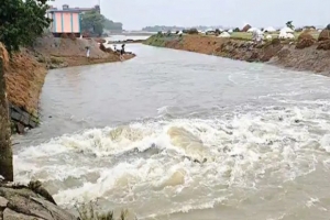 সুনামগঞ্জে বাঁধ ভেঙে তলিয়ে গেলো হাওরের ধান