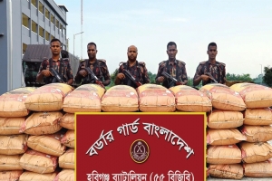  হবিগঞ্জ সীমান্তে দেড় কোটি টাকার ভারতীয় জিরা জব্দ