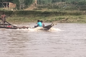 লোভাছড়ার জব্দকৃত পাথর চুরির হিড়িক!